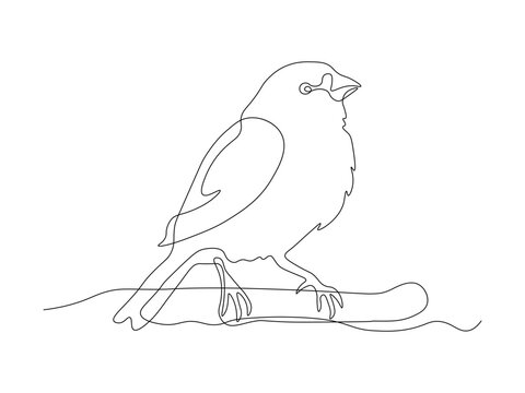 recommend clip art: abstract canary,sparrow,bird,logo,continuous single line art hand drawing sketch
