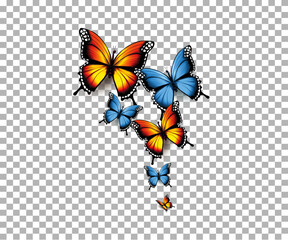 Colorful butterflies pattern on transparent background , vector illustration design.