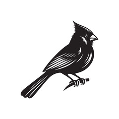 Cardinal Silhouette: Black Vector Art - Capturing the Bold Elegance and Distinctive Presence of These Iconic Birds- Cardinal bird Vector - Cardinal Bird Illustration.