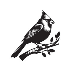 Cardinal Silhouette: Black Vector Art - Capturing the Bold Elegance and Distinctive Presence of These Iconic Birds- Cardinal bird Vector - Cardinal Bird Illustration.