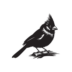 Cardinal Silhouette: Black Vector Art - Capturing the Bold Elegance and Distinctive Presence of These Iconic Birds- Cardinal bird Vector - Cardinal Bird Illustration.