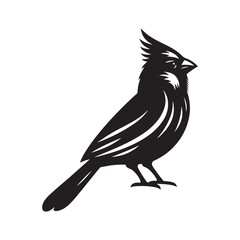 Cardinal Silhouette: Black Vector Art - Capturing the Bold Elegance and Distinctive Presence of These Iconic Birds- Cardinal bird Vector - Cardinal Bird Illustration.