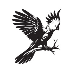Cockatoo Silhouette: Bold Black Vector Art Capturing the Majestic Beauty and Charisma of These Iconic Parrots- Cockatoo Parrot Vector- Cockatoo Parrot Illustration.