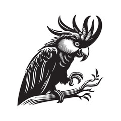 Cockatoo Silhouette: Bold Black Vector Art Capturing the Majestic Beauty and Charisma of These Iconic Parrots- Cockatoo Parrot Vector- Cockatoo Parrot Illustration.