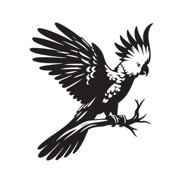 recommend clip art: Cockatoo Silhouette: Bold Black Vector Art Capturing the Majestic Beauty and Charisma of These Iconic Parrots- Cockatoo Parrot Vector- Cockatoo Parrot Illustration.