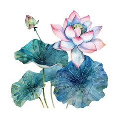 Lotus flower with watercolor lotus leaves on white background