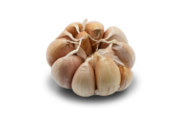 Macro closeup of garlic isolated on transparent background png	