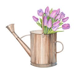 Watercolor illustration of a copper watering can and a bouquet of pink tulips.Metal vintage watering can. Illustration isolated. Bright colors. For printing on postcards, stickers