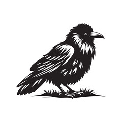 Crow Vector Silhouette: Bold Black Vector Art Capturing the Mysterious Aura and Intelligence of These Iconic Birds - Crow Illustration.
