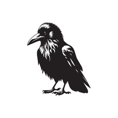 Crow Vector Silhouette: Bold Black Vector Art Capturing the Mysterious Aura and Intelligence of These Iconic Birds - Crow Illustration.