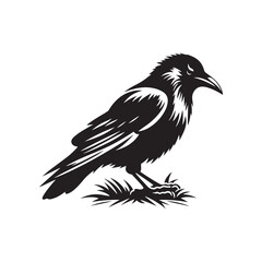 Crow Vector Silhouette: Bold Black Vector Art Capturing the Mysterious Aura and Intelligence of These Iconic Birds - Crow Illustration.