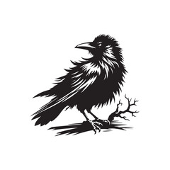 Crow Vector Silhouette: Bold Black Vector Art Capturing the Mysterious Aura and Intelligence of These Iconic Birds - Crow Illustration.