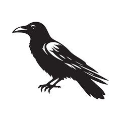 Crow Vector Silhouette: Bold Black Vector Art Capturing the Mysterious Aura and Intelligence of These Iconic Birds - Crow Illustration.