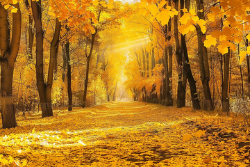 The most beautiful yellow autumn forest in the world 