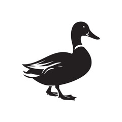Vector Duck Silhouettes: Striking Black Vector Art Capturing the Grace and Beauty of These Iconic Waterfowl- Duck Illustration.