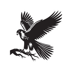 Minimalist Falcon Vector Silhouette: Striking Black Vector Art - Falcon Illustration - Bird Vector Silhouette.
