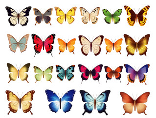 Set of colorful butterflies isolated on white, generated ai