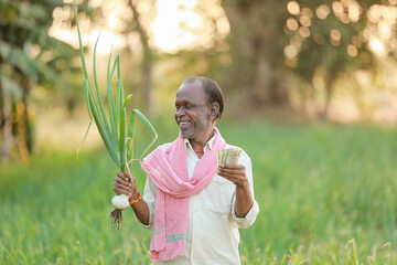 Fototapeta premium Indian farmer holding onion plant