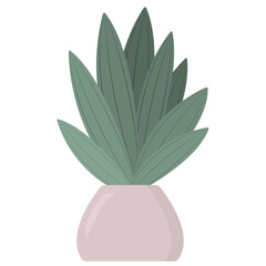 Green houseplant with leaves in flower pot isolated on white background