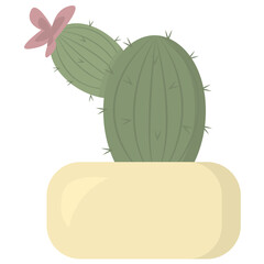 Blooming cactus in a flower pot. Green house thorny plant with flower isolated on the white background