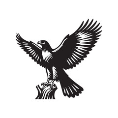 Hawk Silhouettes: Striking Black Vector Art- Minimalist Hawk Vector - Hawk Illustration.