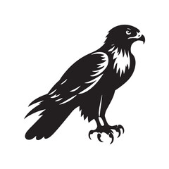 Hawk Silhouettes: Striking Black Vector Art- Minimalist Hawk Vector - Hawk Illustration.