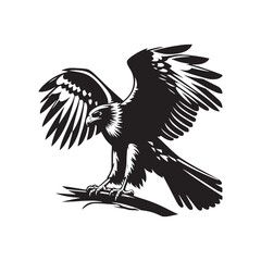 Hawk Silhouettes: Striking Black Vector Art- Minimalist Hawk Vector - Hawk Illustration.
