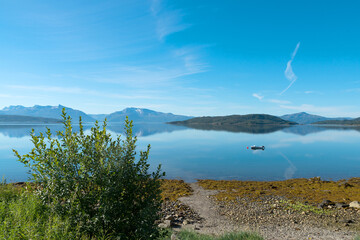 Evenes, Blick auf Fjord, im Norden von Norwegen im Sommer