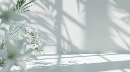 Abstract white studio background for product presentation