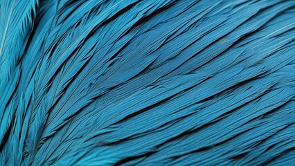 Fototapeta premium parrot blue feather macro texture