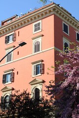 Tall pink building with windows on the street with a blooming tree and a street light in front