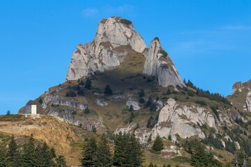 Fototapeta premium Vibrant and beautiful landscape featuring a rocky cliff adorned with wildflowers and green grass
