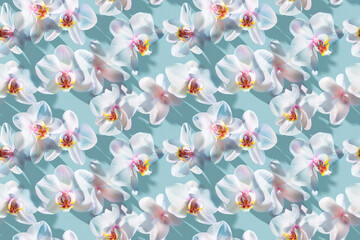 Delicate white orchid flowers pattern on a soft turquoise background. Seamless design perfect for romantic decorations, elegant textiles, and serene backgrounds.