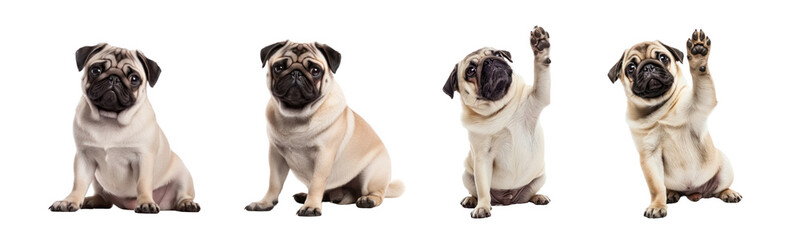 Fototapeta premium Cute animal png element set on transparent background