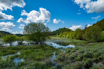 marais de Saint-Pierre-le-Chastel, Auvergne, Puy de Dôme