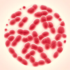 A microscopic views of Neisseria gonorrhoeae bacteria. Gonorrhoea is a common sexually transmitted infection usually spreads through vaginal, oral and anal sex