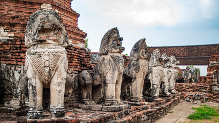 Fototapeta premium Ancient lion statues located around an old Ayutthaya period pagoda at Wat Thammikarat, Phra Nakhon Si Ayutthaya Province, Thailand. 