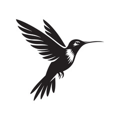Obraz premium Hummingbird Vector Silhouette: Delicate Black Vector Art Capturing the Grace and Speed of These Tiny Iconic Birds - Hummingbirds Illustration.