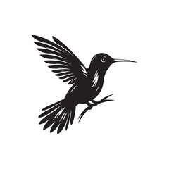 Hummingbird Vector Silhouette: Delicate Black Vector Art Capturing the Grace and Speed of These Tiny Iconic Birds - Hummingbirds Illustration.
