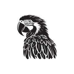 Vector Macaw Parrot Silhouette: Striking Black Vector Art Capturing the Vibrant Beauty and Tropical Majesty of These Iconic Parrots- Macaw Parrot Illustration.