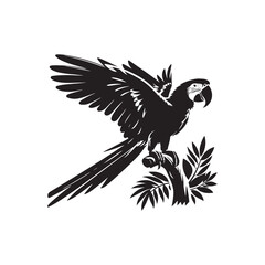 Vector Macaw Parrot Silhouette: Striking Black Vector Art Capturing the Vibrant Beauty and Tropical Majesty of These Iconic Parrots- Macaw Parrot Illustration.