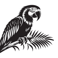 Vector Macaw Parrot Silhouette: Striking Black Vector Art Capturing the Vibrant Beauty and Tropical Majesty of These Iconic Parrots- Macaw Parrot Illustration.