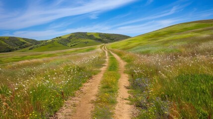 Obraz premium Scenic hiking trail through lush green hills and meadows