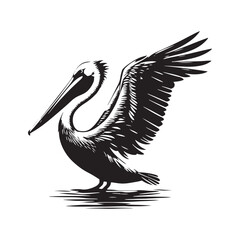 Pelican Silhouettes: The Majestic Presence and Graceful Flight of These Iconic Coastal Bird - Pelican Vector - Pelican Illustration- Shore Bird Silhouette.