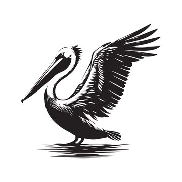 recommend clip art: Pelican Silhouettes: The Majestic Presence and Graceful Flight of These Iconic Coastal Bird - Pelican Vector - Pelican Illustration- Shore Bird Silhouette.