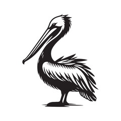 Pelican Silhouettes: The Majestic Presence and Graceful Flight of These Iconic Coastal Bird - Pelican Vector - Pelican Illustration- Shore Bird Silhouette.