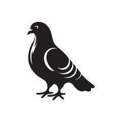 Pigeon Silhouette: Striking Black Vector Art Capturing the Urban Charm and Graceful Flight of These Iconic City Birds - Pigeon Vector - Pigeon Illustration.