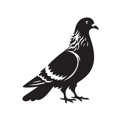 Pigeon Silhouette: Striking Black Vector Art Capturing the Urban Charm and Graceful Flight of These Iconic City Birds - Pigeon Vector - Pigeon Illustration.