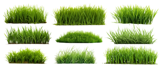 Grass png element set on transparent background