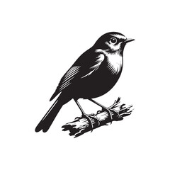 Robin bird Silhouette- Charming Black Vector Art Capturing the Delicate Beauty and Iconic Presence of These Beloved Bird - Robin Bird Vector - Robin Bird Illustration.